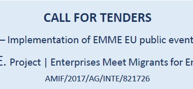 Call for Tenders- Actividad 6.5_Proyecto E.M.M.E